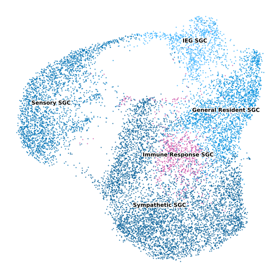 MAPPS_2022_SGC